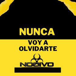 Nunca voy a olvidarte