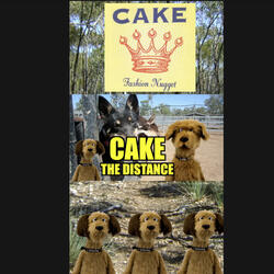 He's Dating a Kelpie