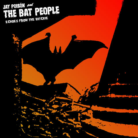 Echoes From The Batcave
