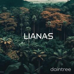 Daintree (Rain)