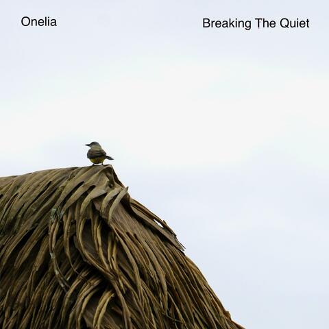Breaking The Quiet