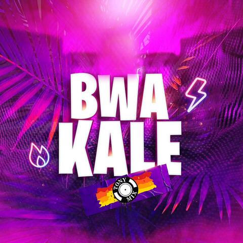 Bwa Kale (feat. T-Babas)