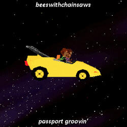 passport groovin'