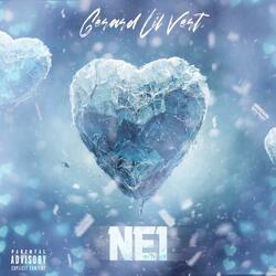 NE1