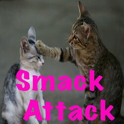 Catnip Smack Attack