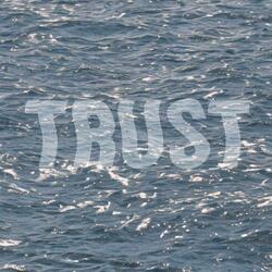 Trust