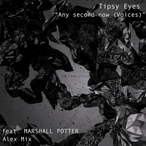 Any Second Now (Voices) (feat. Marshall Potter) [Alex Mix Remix]