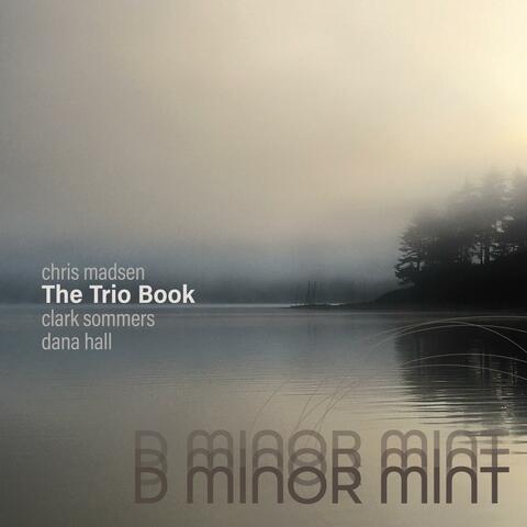 D Minor Mint