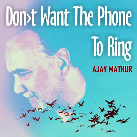 Don't Want The Phone To Ring (Radio Edit)