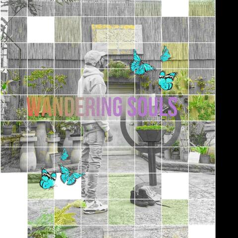 Wandering souls