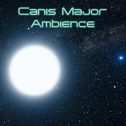 Eclipsing Binary Star Ambience