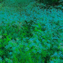Memories of You in the Key of Blue