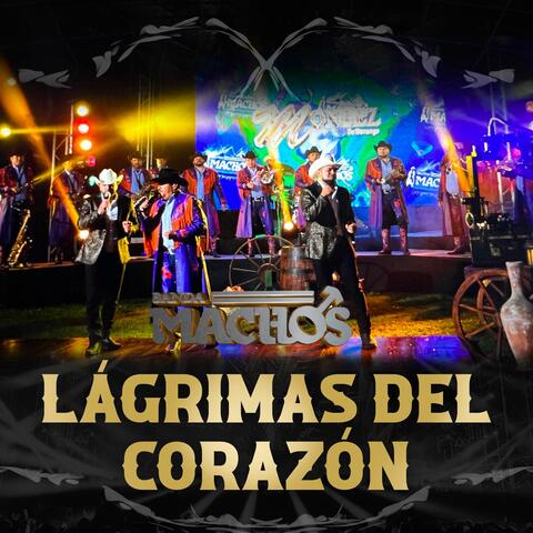 Lágrimas Del Corazón