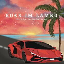 Koks im Lambo (feat. Snooka)