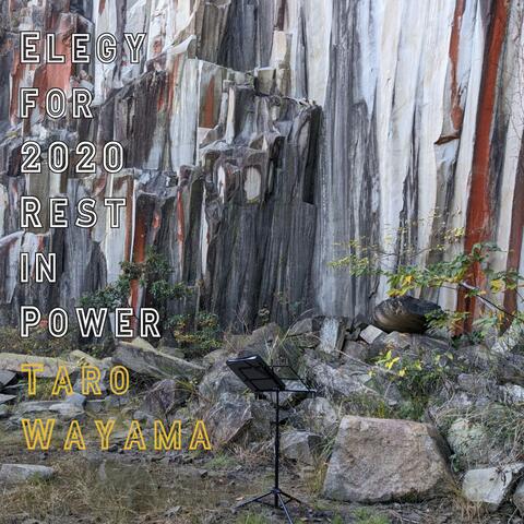 Elegy for 2020: Rest In Power