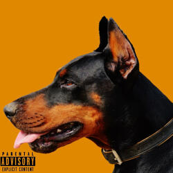 BIG DAWG (feat. Cash Ali)