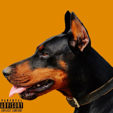 BIG DAWG (feat. Cash Ali)