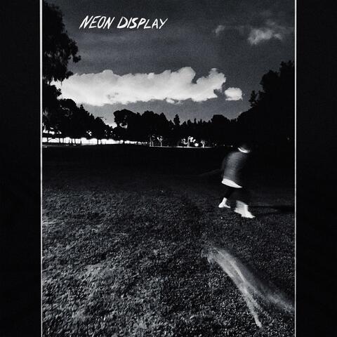 Neon Display