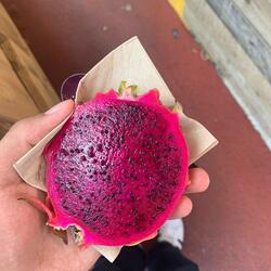 DRAGONFRUIT