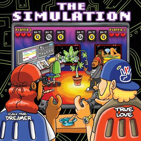 The Simulation