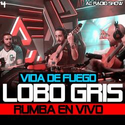 Vida de Fuego||Lobo Gris