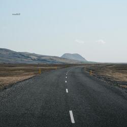 Roadkill