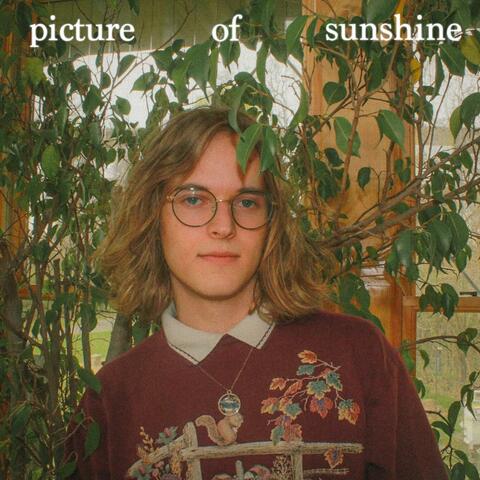 Picture of Sunshine