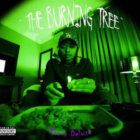 The Burning Tree