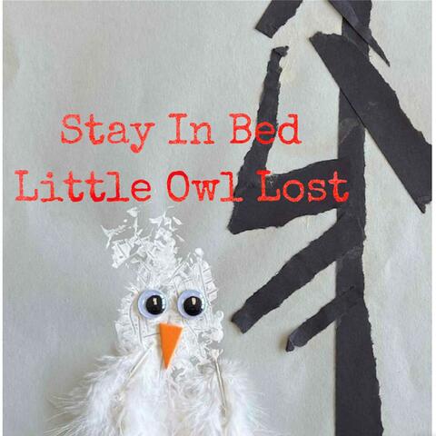 Little Owl Lost Lofi