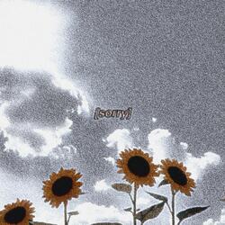 sorry (slowed + reverb)