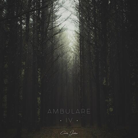 Ambulare IV