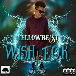 Wish For (2066 Songs)