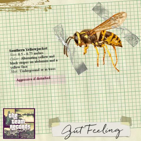 Gut Feeling (feat. G Bae Bae)