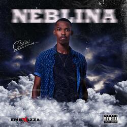 Ser Bo (feat. Francis FBD)