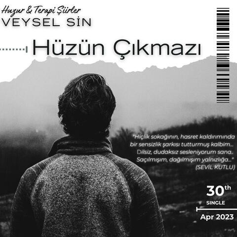 Hüzün Çıkmazı (Şiir: Sevil Kutlu)