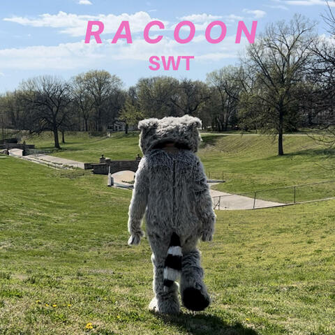 Racoon