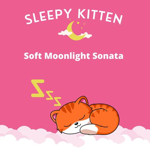 Soft Moonlight Sonata