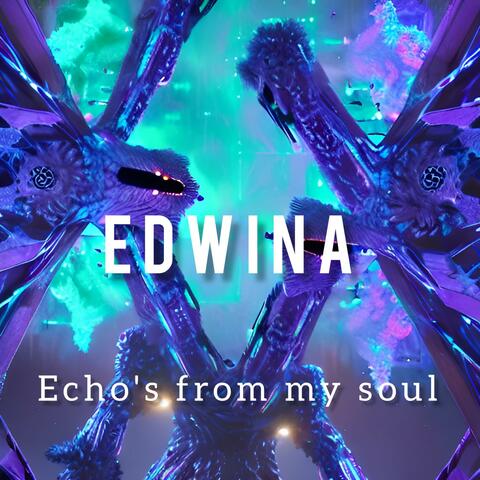 Echo's from my soul
