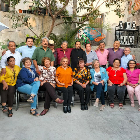 Los sauces y amigos