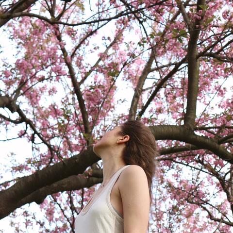 pink moon spring
