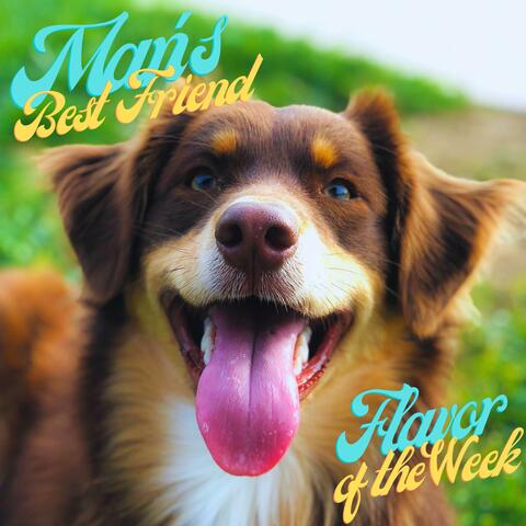 Man's Best Friend