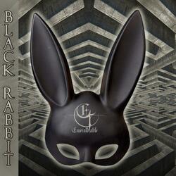 Black rabbit