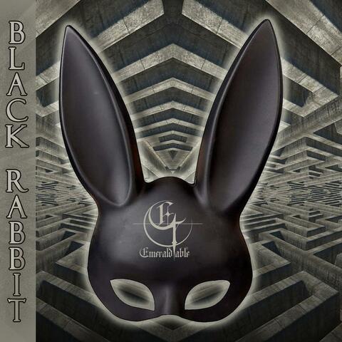 Black rabbit