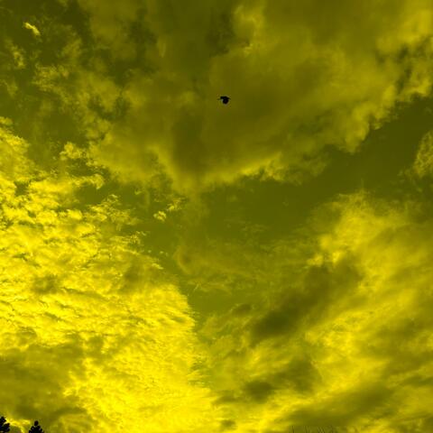 New Sky
