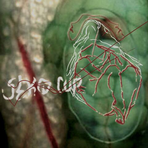 Seko Cup