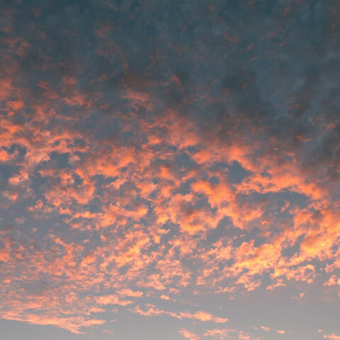 God's Reason