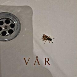 VÅR