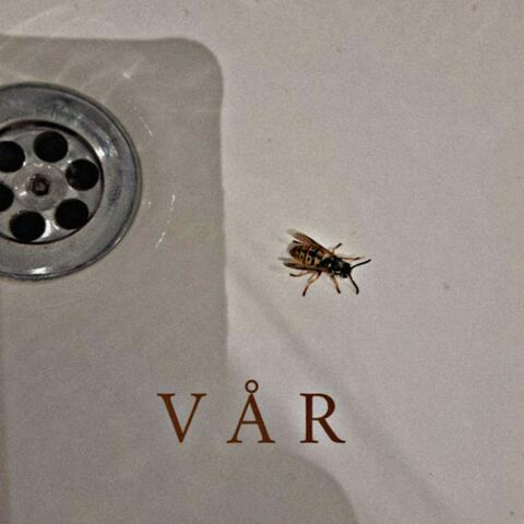 VÅR
