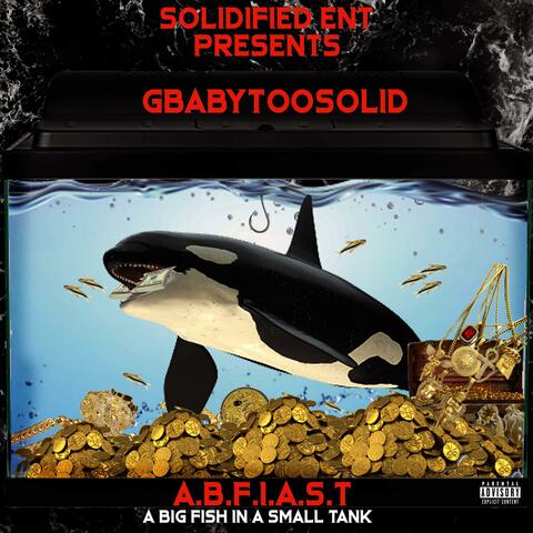 Gbabytoosolid