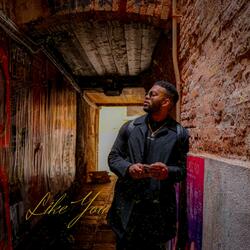 Sonshine (feat. KRS)